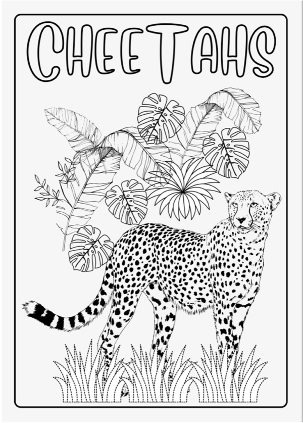 E-Comic book: Cheetahs