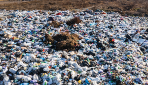 Plastic will have a long term impact on the environment. Image of mounds of plastic bottles in a landfill.