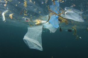 Because plastics do not degrade easily, they will continue to be a burden on the environment. Image of plastic bags floating in a waterway.